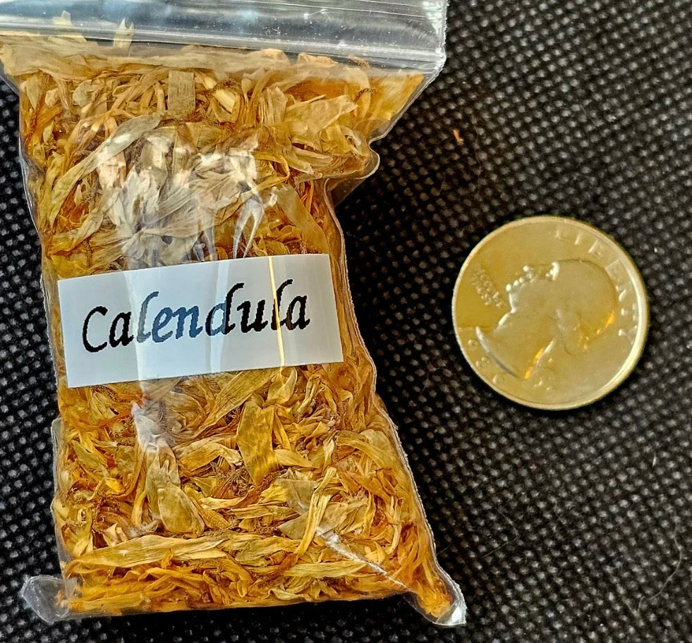 Calendula