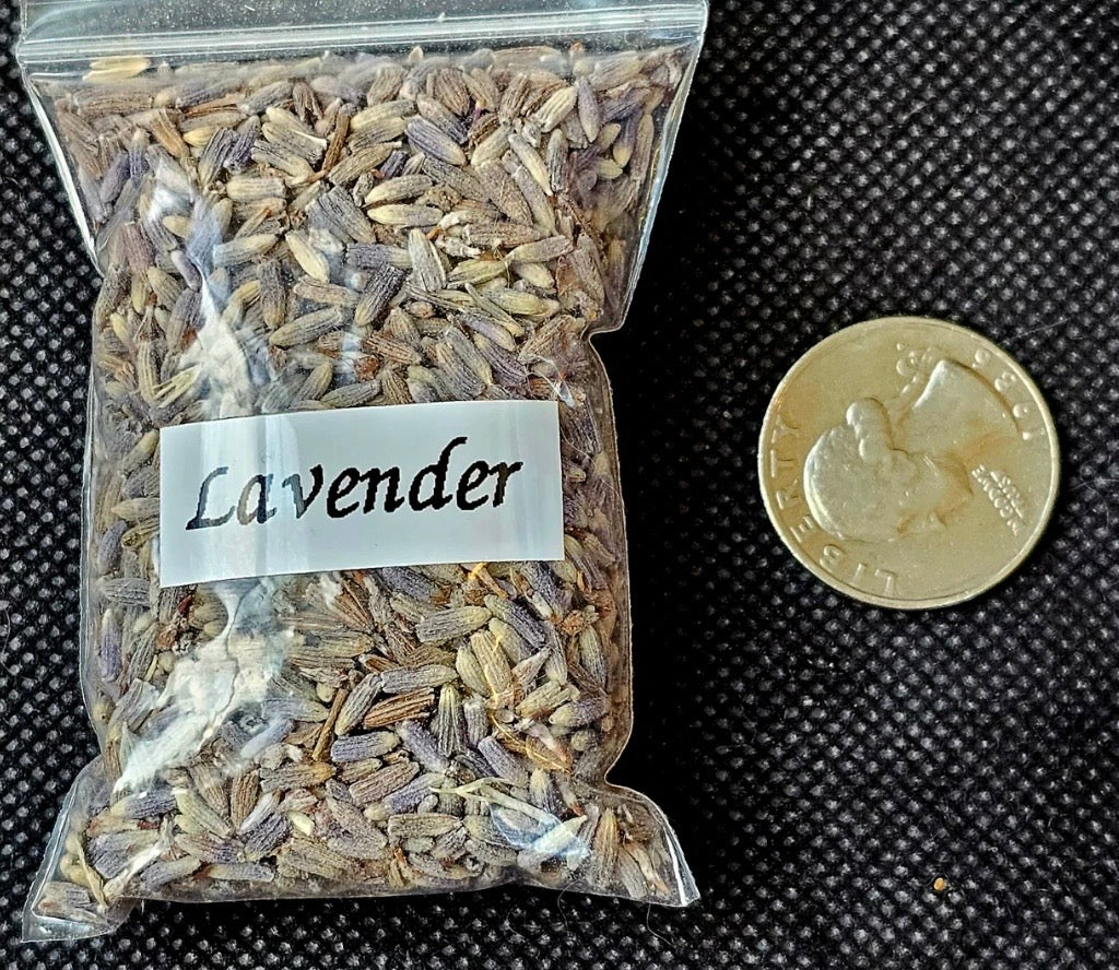 Lavender (Calming • Protection • Healing)