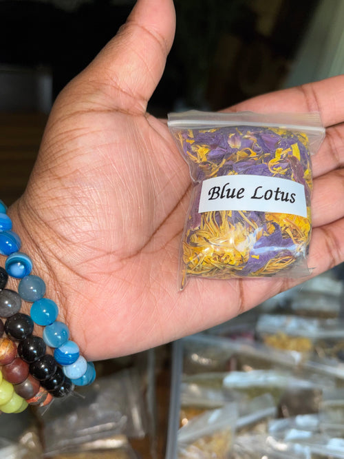 Blue Lotus