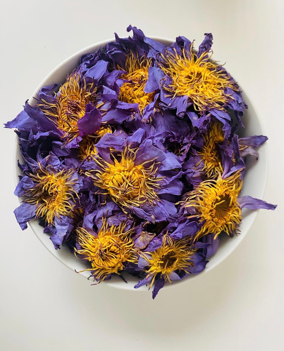 Blue Lotus